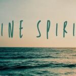 What Is A Marine Spirit?